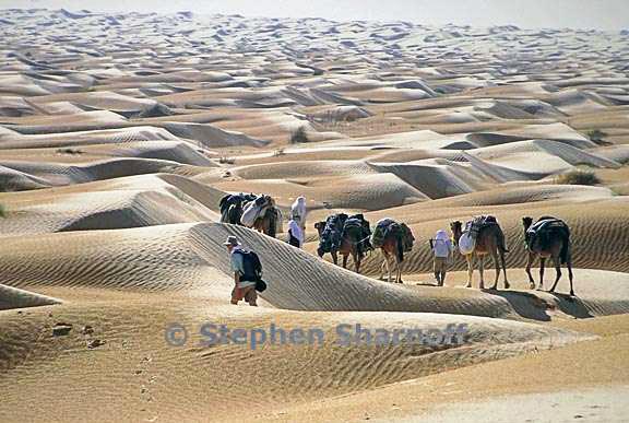 sea of dunes caravan graphic